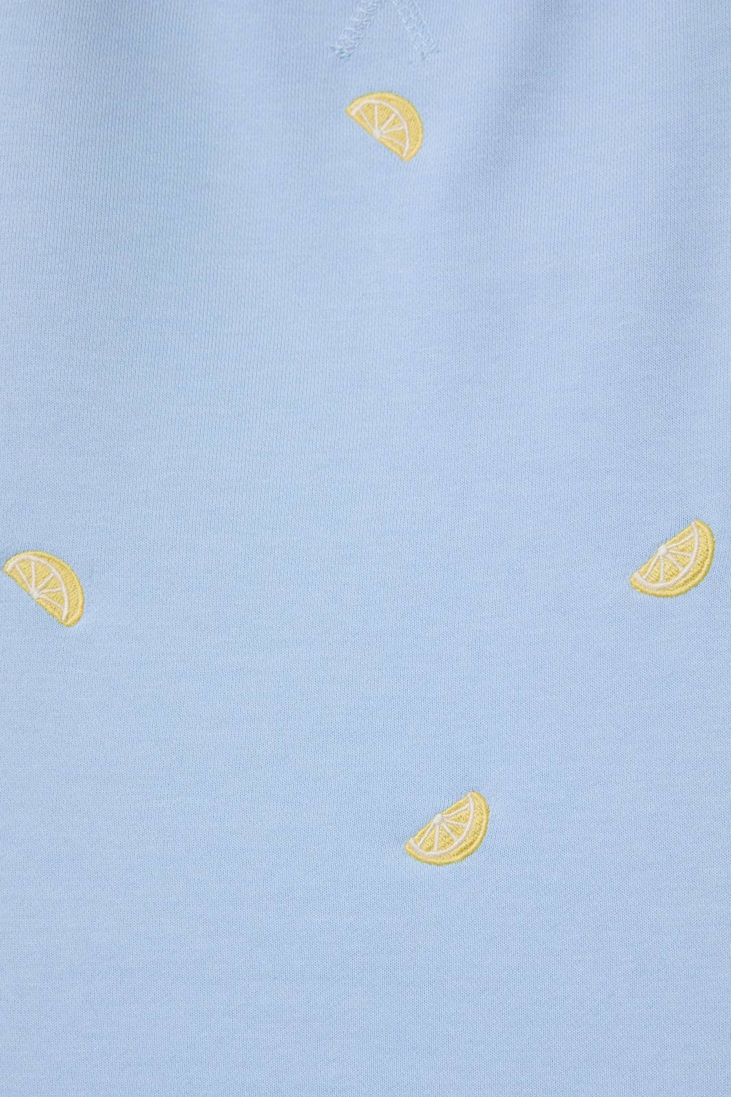 Lemon Embroidered Sweatshirt