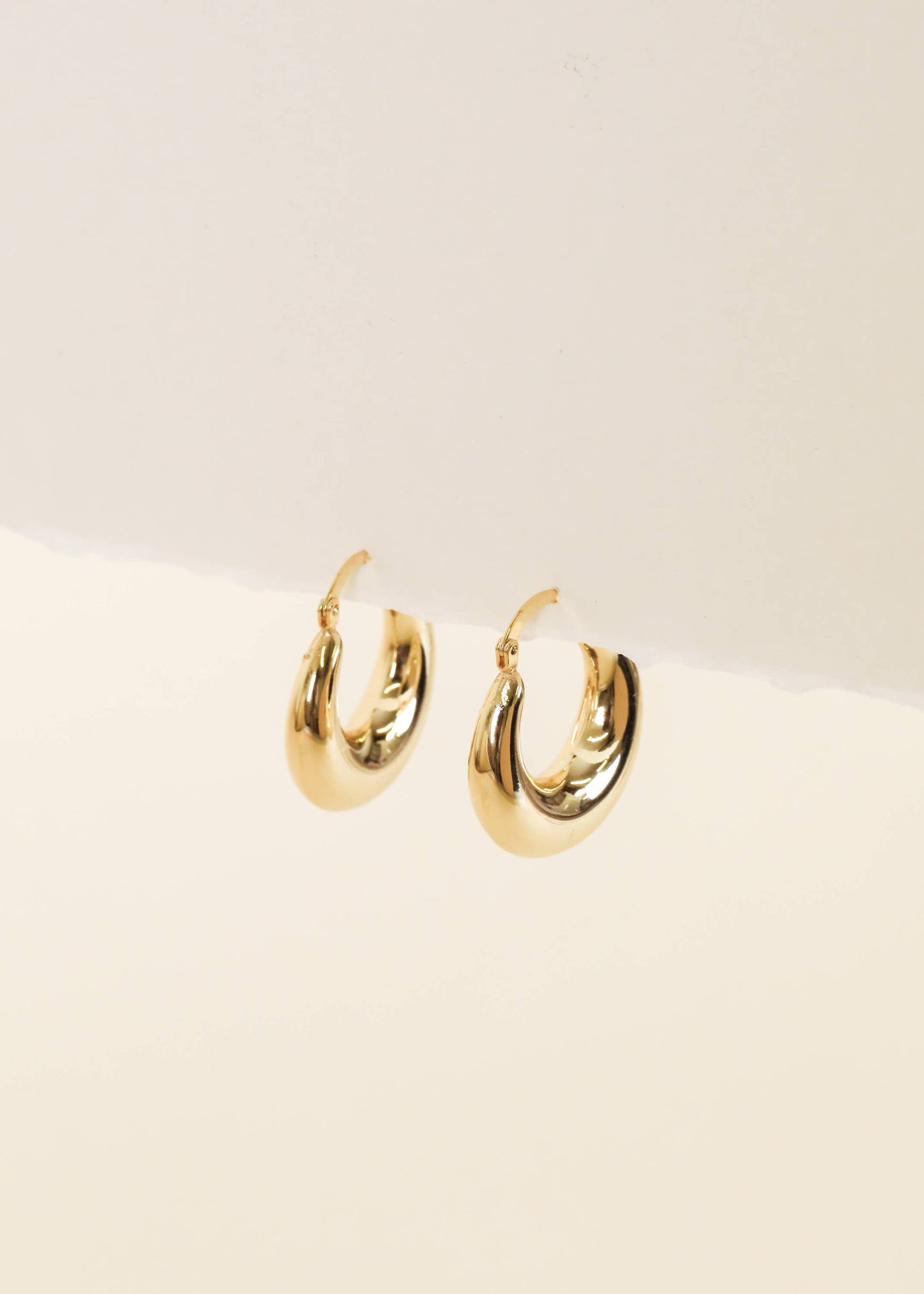 Gold Hoop Sculpture Earrings