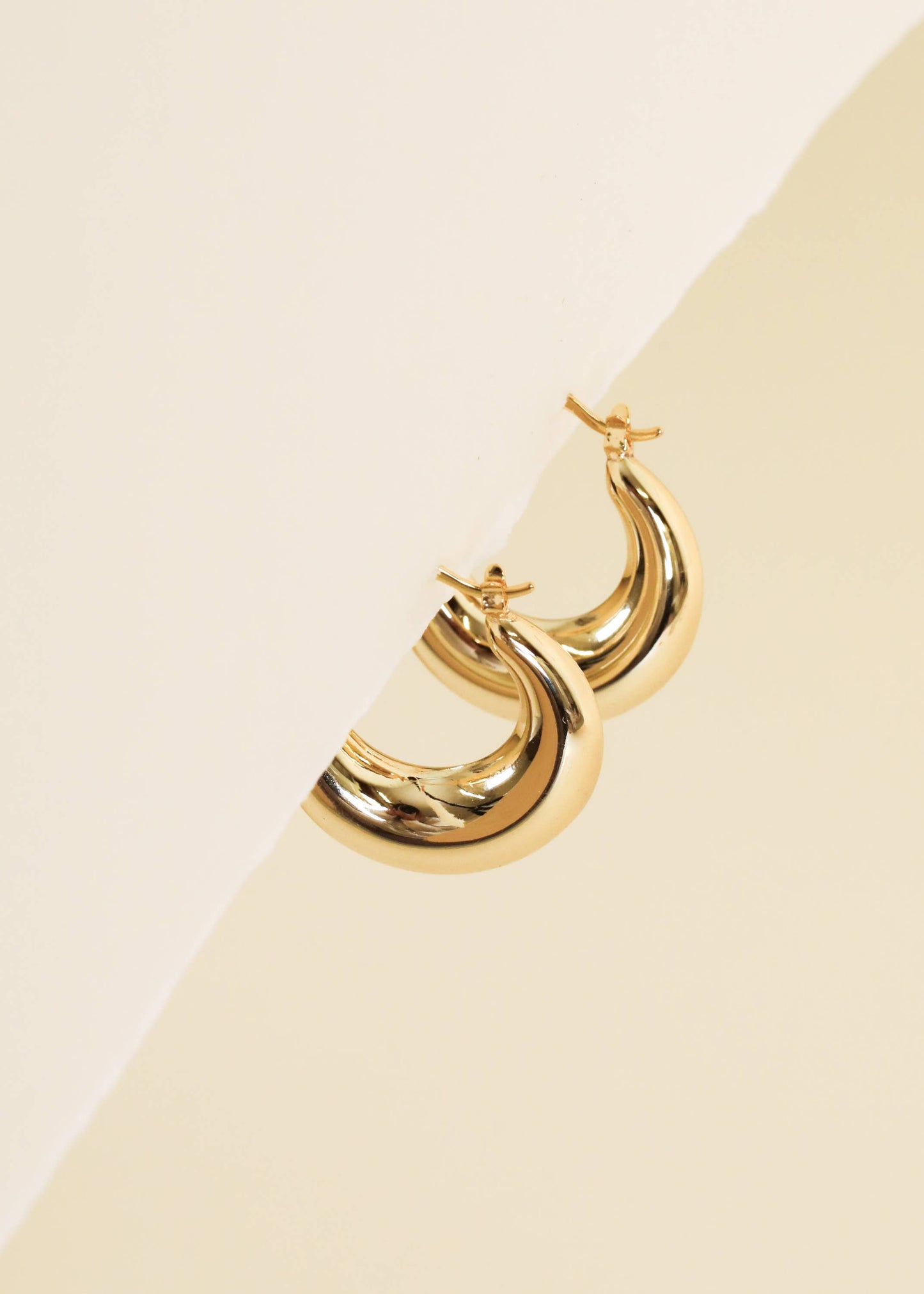 Gold Hoop Sculpture Earrings