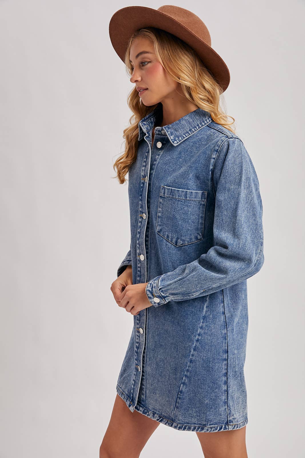 Ila Denim Dress