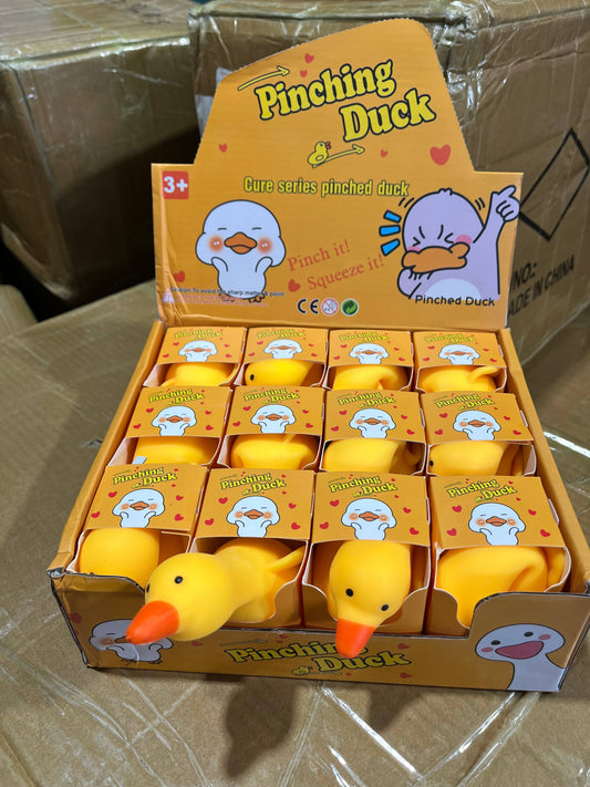 Squishy Silly Goose