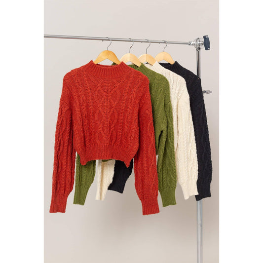 Karena High Neck Cable Knit Sweater