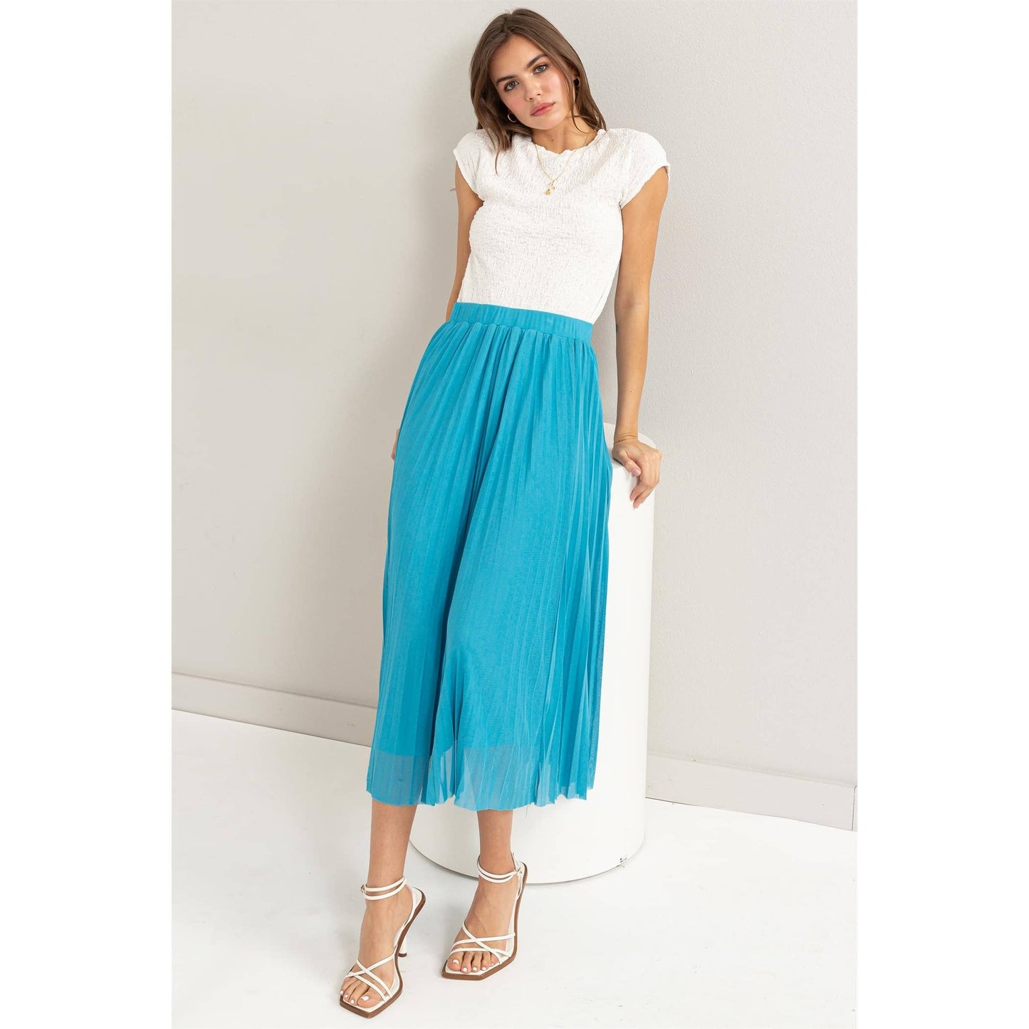 Dream On Pleated Skirt