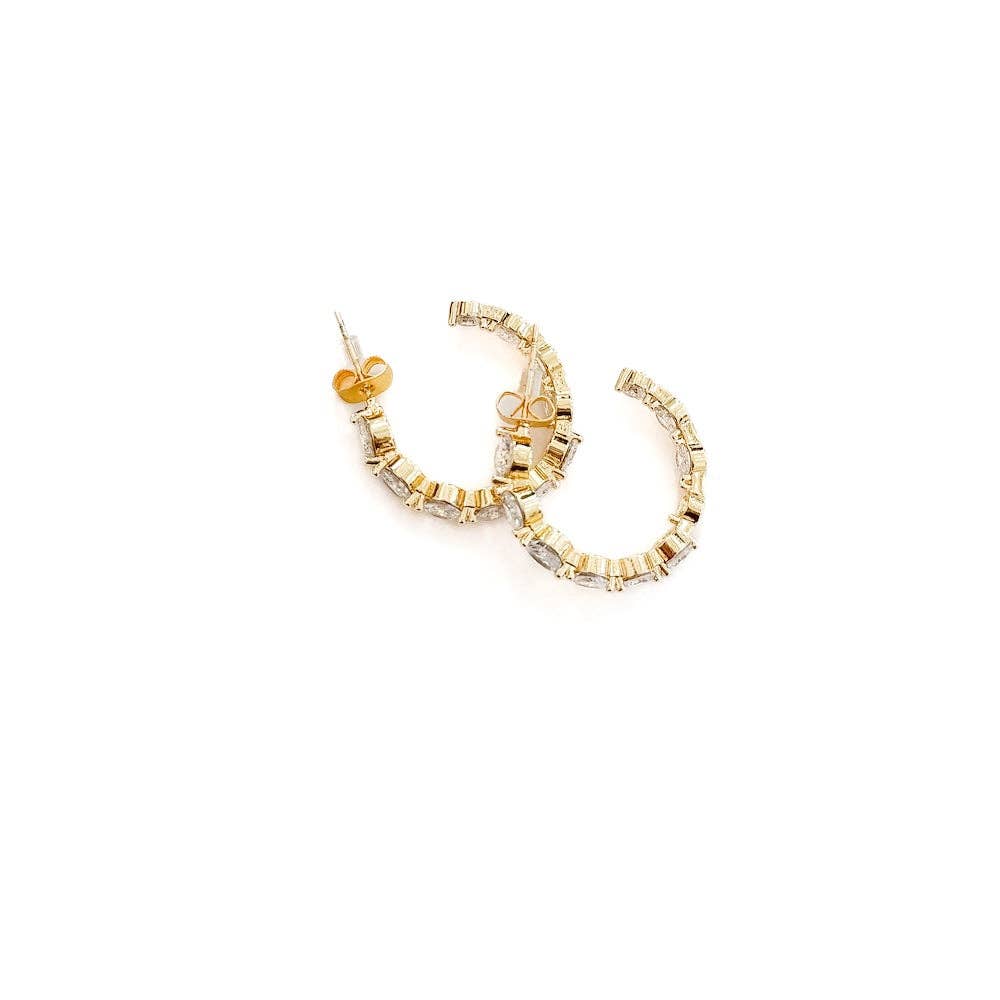 Darling Delight Hoop Earrings