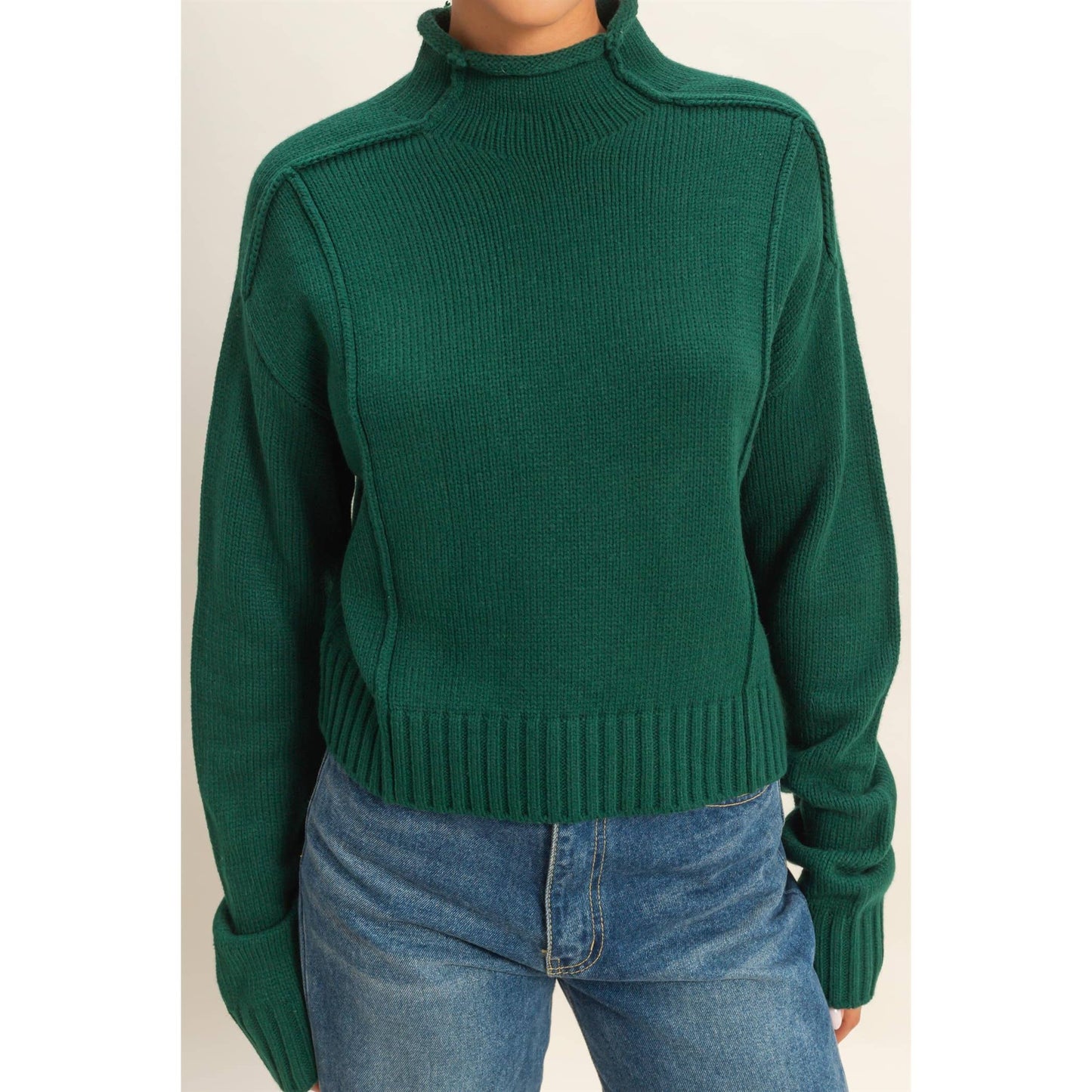 Georgina High Roll Neck Sweater